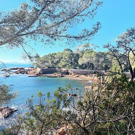 2 Pieces Saint Raphael Renove, Classe 4 Etoiles, 100 M Plages, Piscine, Tennis, Parc, Terrasse, Jardin Privatif Saint-Raphael (Var) Exterior foto